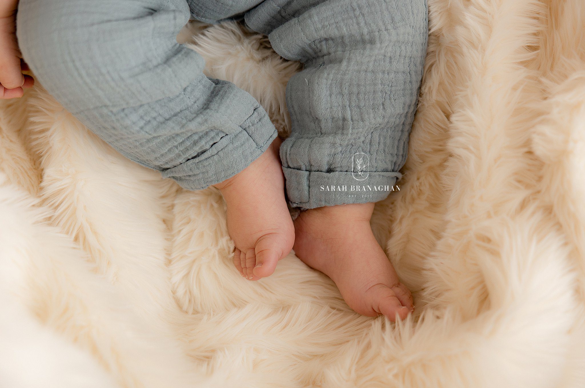 Cleveland's Top Baby Photographer | Sarah Branaghan