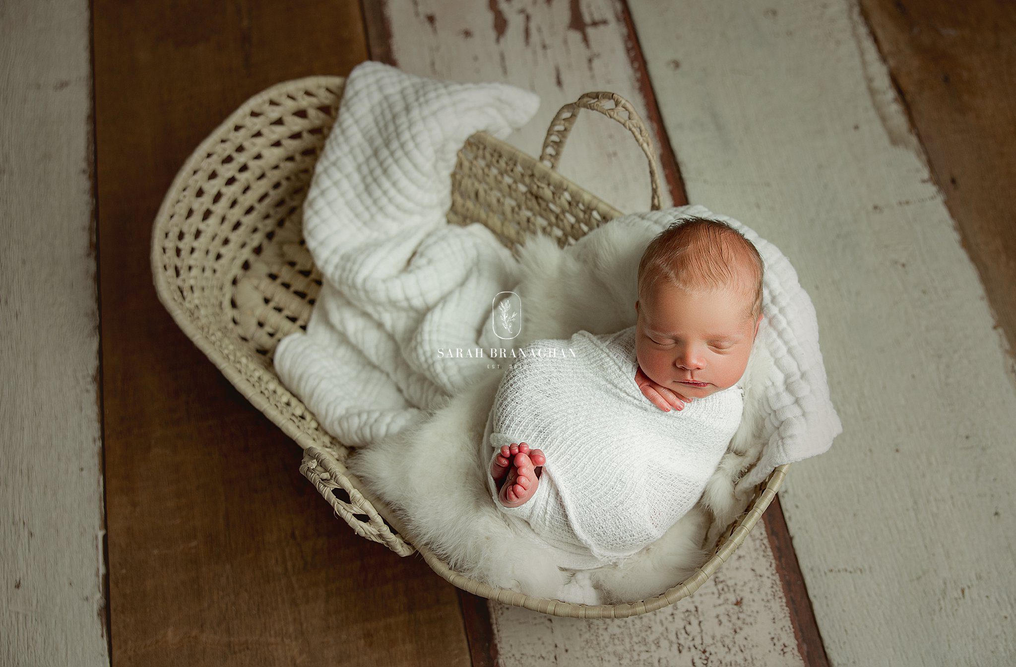 Cleveland's Top Newborn Photographer