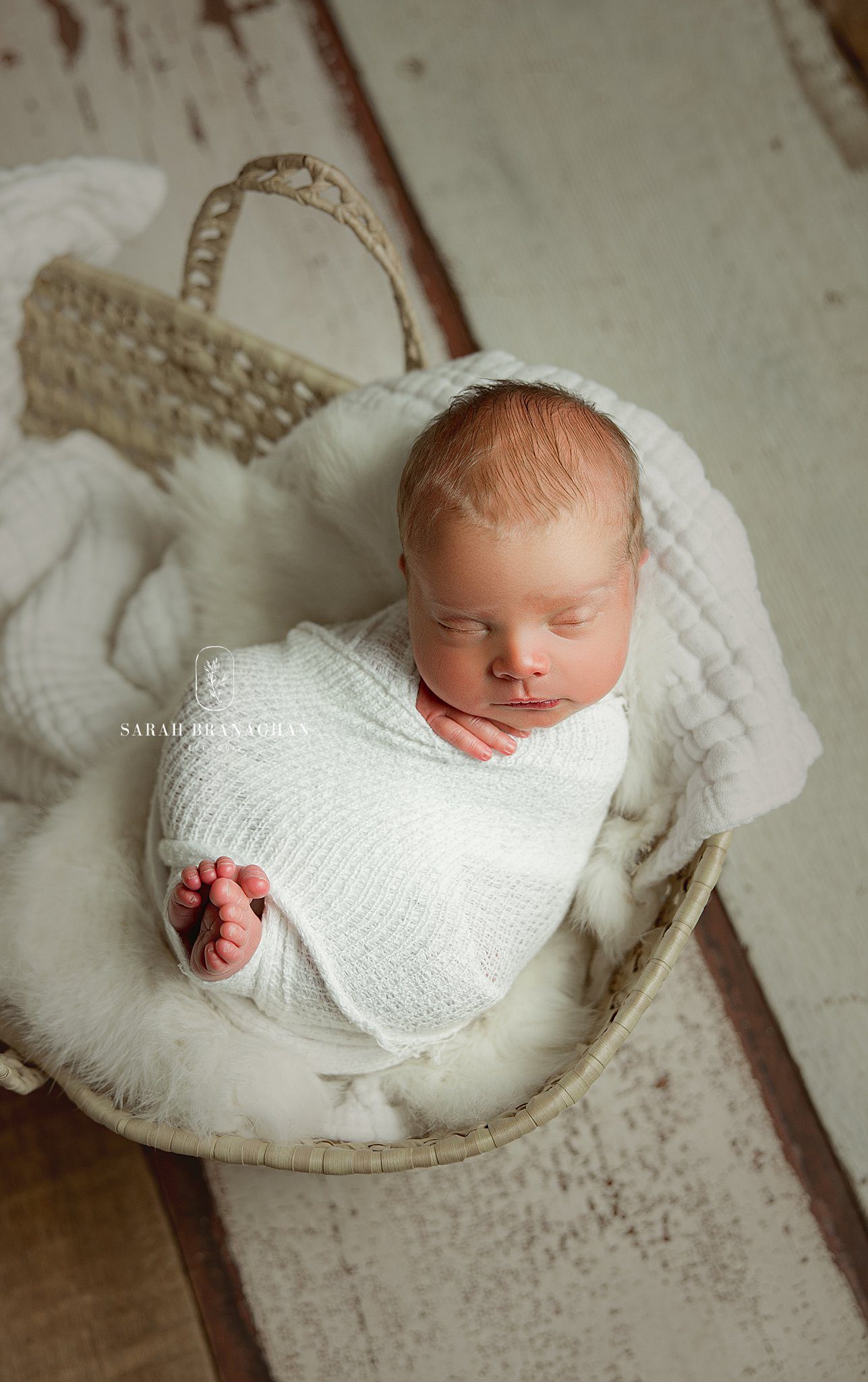 Cleveland's Top Newborn Photographer