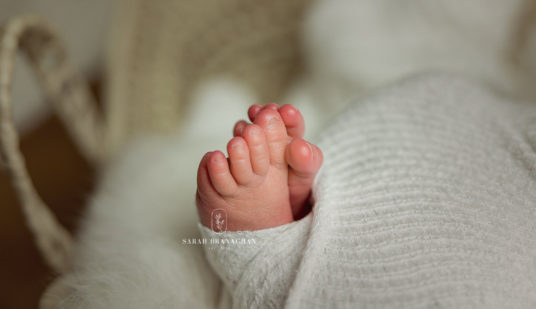 Cleveland's Top Newborn Photographer
