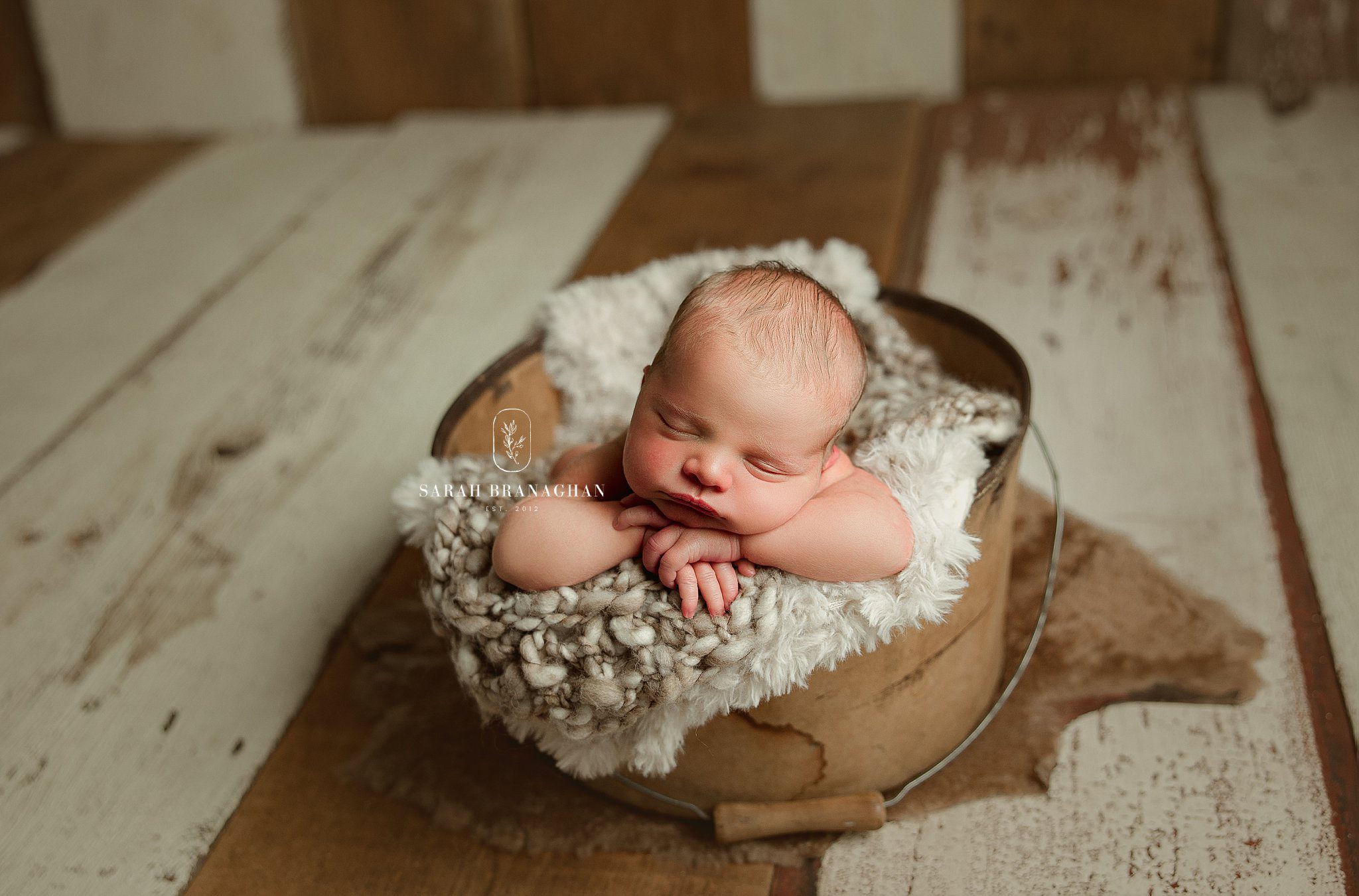 Cleveland's Top Newborn Photographer